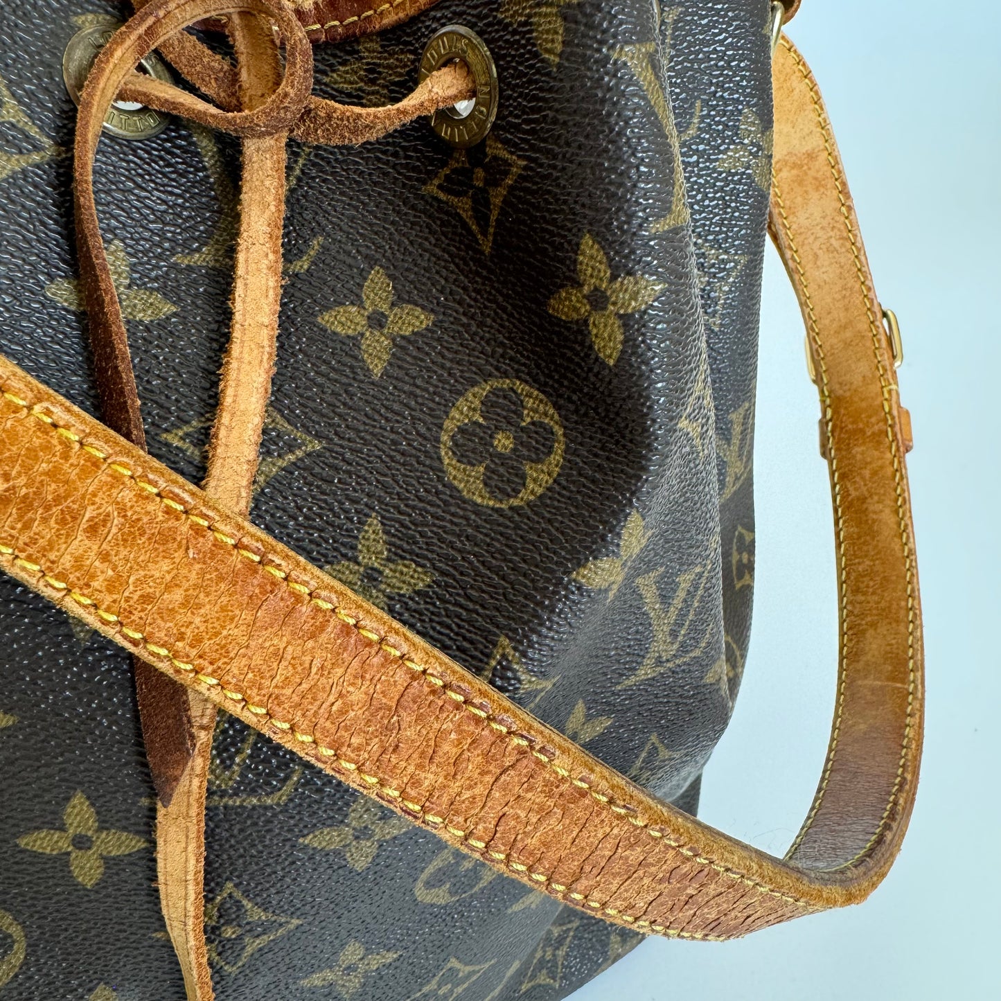 Louis Vuitton Petit Noé Bag